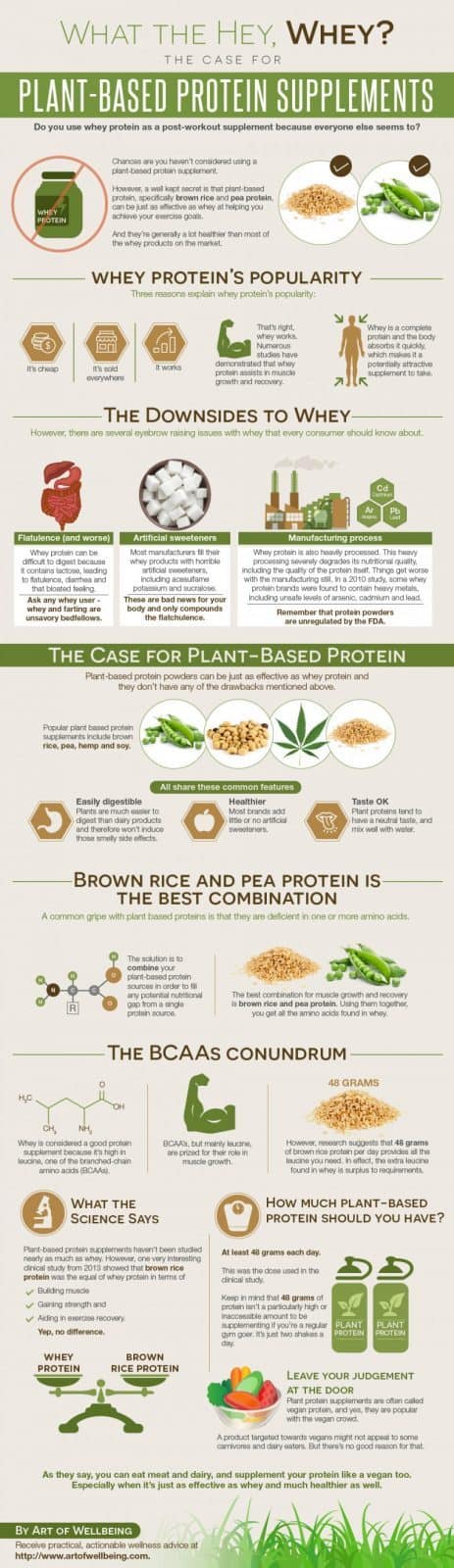 plant based protein