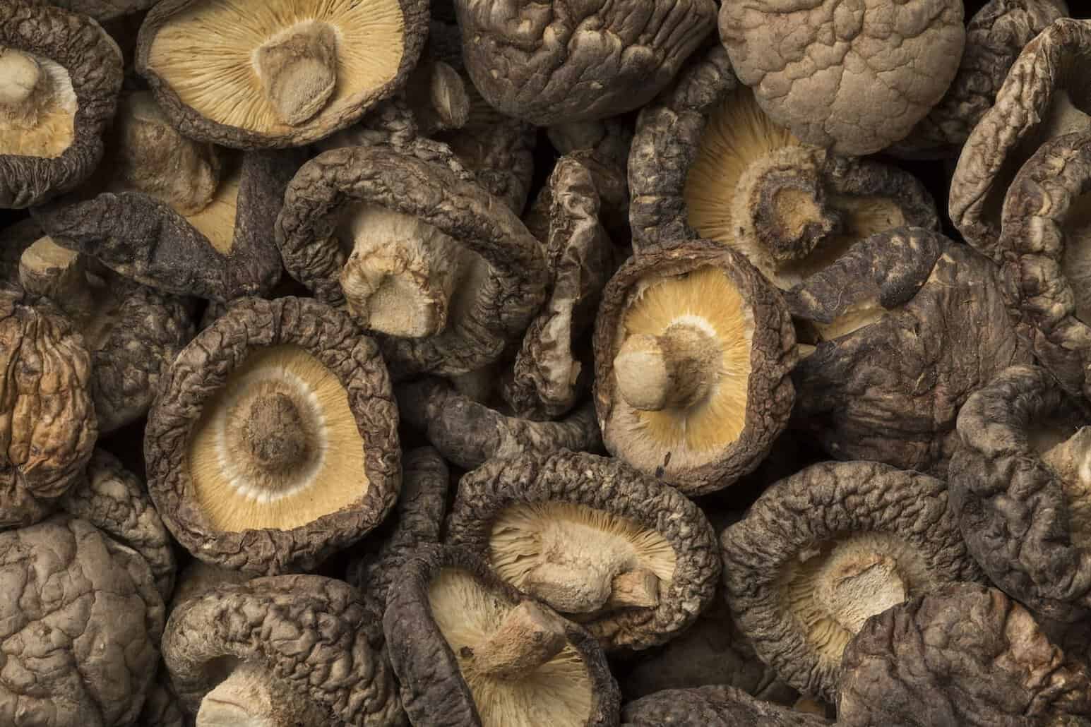 mushrooms vitamin D respiratory infections