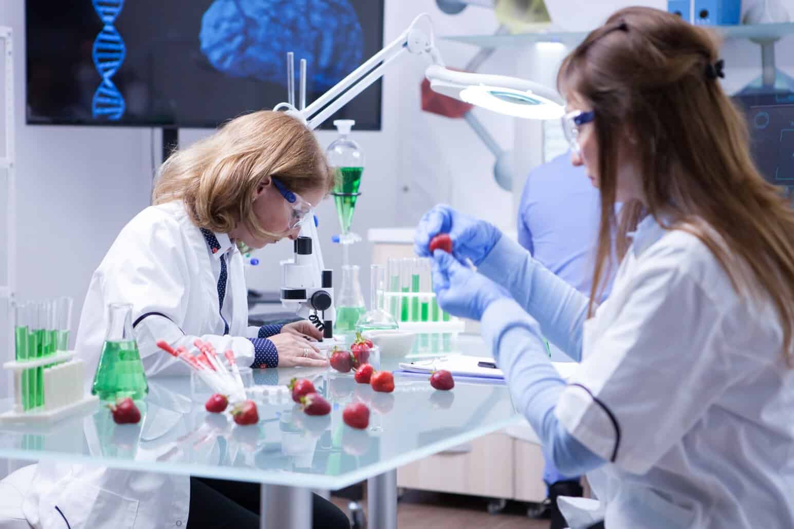 NutriFusion lab team analyzing strawberries under a microscope.