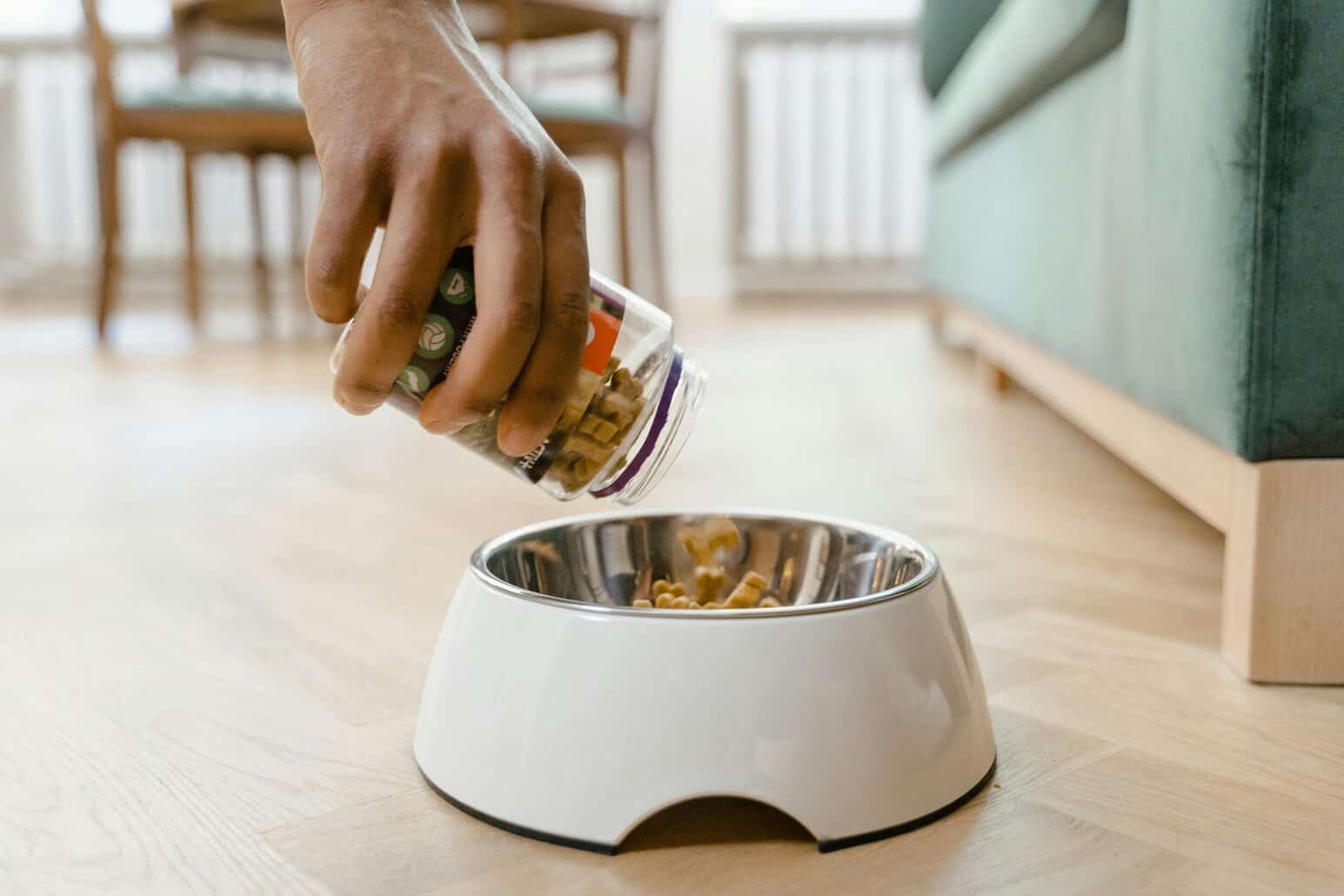 This photo features supplements for dogs being poured into a dog bowl